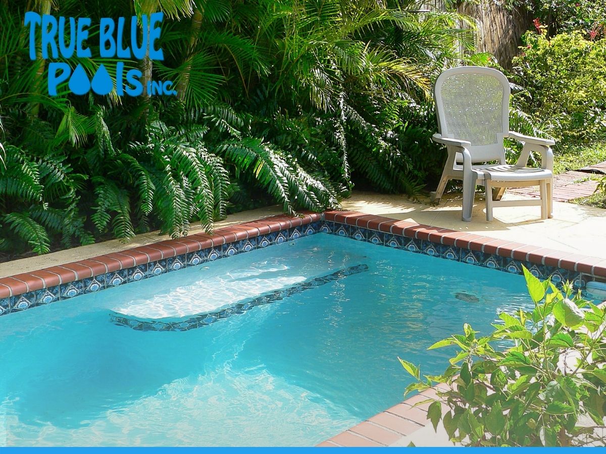 Beautiful Small Pool In A Small Backyard In Arizona