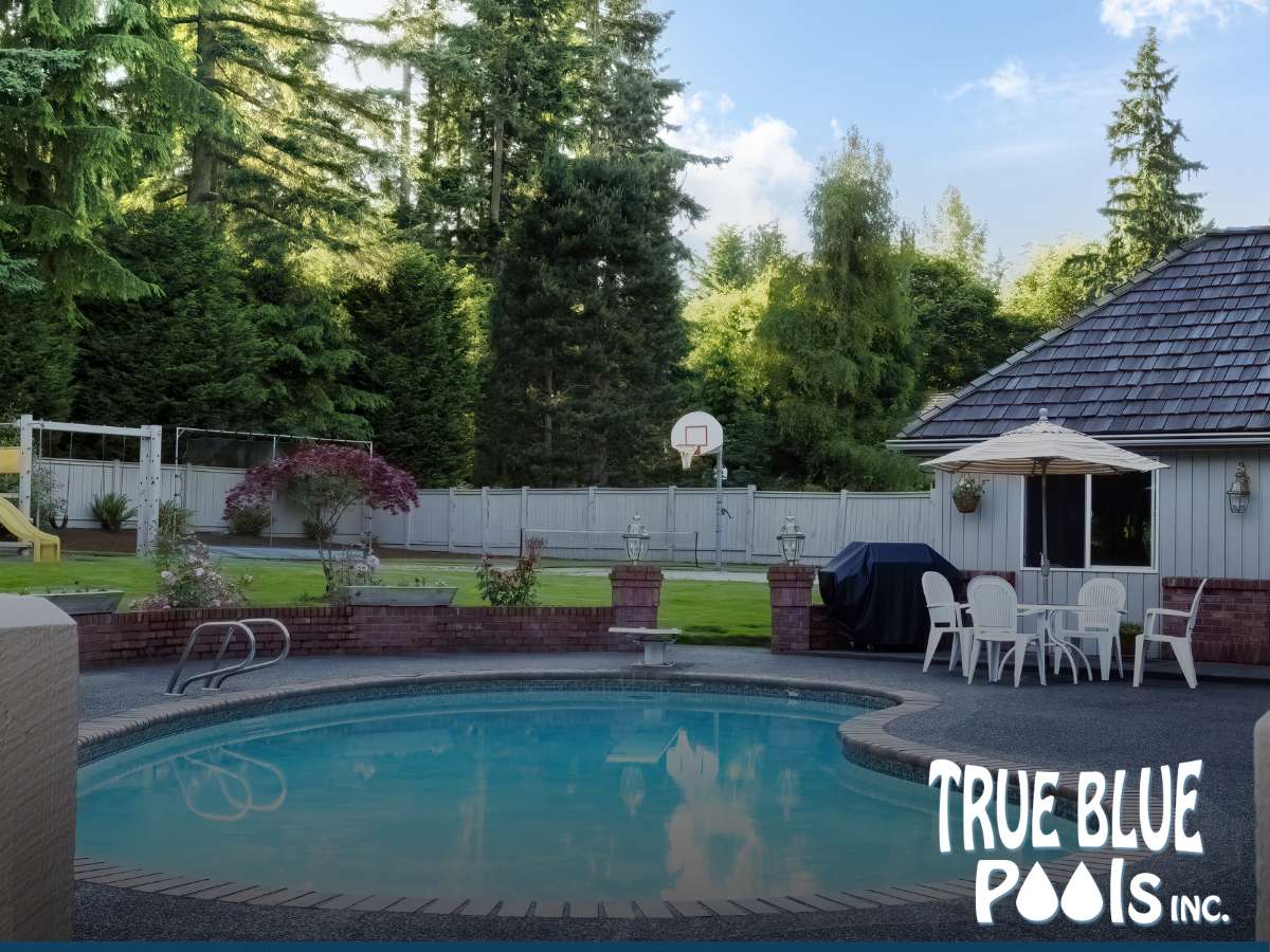 Perfect Size Swimming Pool