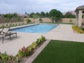 Phoenix pool with a sculpted alternative water feature by True Blue Pools