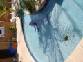 Custom mosaic design detail on a Chandler AZ swimming pool — True Blue Pools (3)