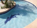 Custom pool mosaic tile design in Chandler AZ — True Blue Pools (1)
