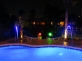 Outdoor landscape and pool lighting accenting a custom pool by True Blue Pools (2)