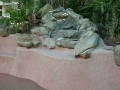 Custom waterfall pool in Tempe by True Blue Pools